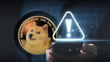 Crypto Veteran Mishaboar Warns New Investors: Bull Market Risks & Secure Dogecoin Storage Tips