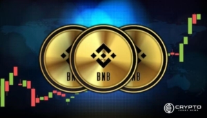 BNB Foundation Completes $971 Million Binance Coin Burn