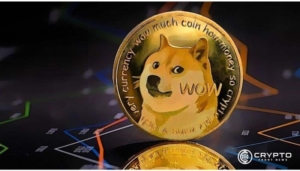 DOGECOIN CFN