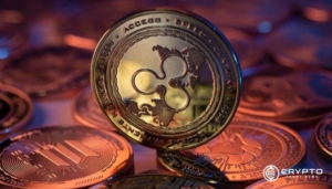 Ripple Whales Accumulate 1 Billion XRP as Market Momentum Fades