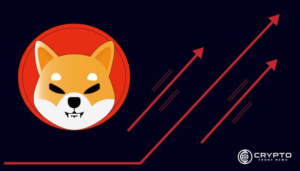 Shiba Inu CFN