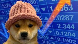 Dogwifhat (WIF) Outperforms Meme Coins with 26.4% Rally in 24 Hours