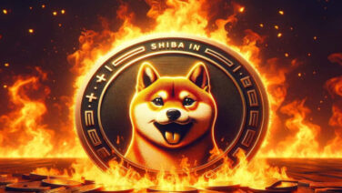 shiba-inu-burn