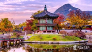 South Korea’s Crypto Investors Surpass 15.59 Million, Driving Growth  