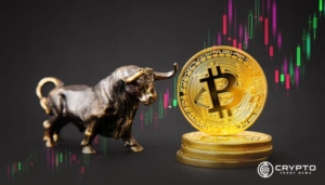 Bitcoin Treasury Strategy Surpasses Tech Stocks with 88% Return in One Year