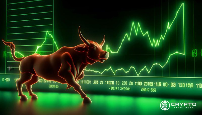 Bullish Market CFN