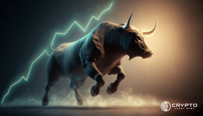 Bullish Market CFN