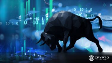 Bullish Market CFN