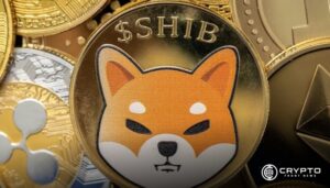 Shiba Inu (SHIB) Eyes Rebound as Key Support Holds