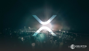 XRP Innovator Urges Community to Avoid Custodial DeFi Solutions