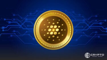 Cardano Coin CFN