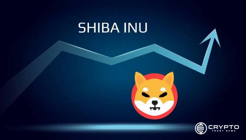 Shiba Inu CFN