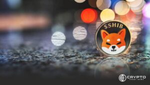 Shiba Inu’s Lucie Exposes Paid Crypto Exchange Listings, Questions Elon Musk’s Dogecoin Impact  