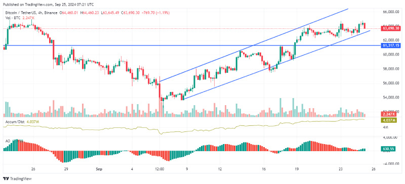 Bitcoin Price Targets Raised