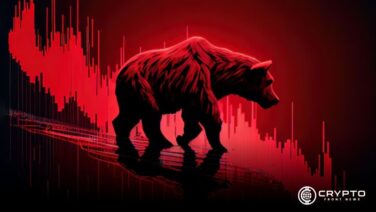 Bearish Market (Bearish Trading) CFN