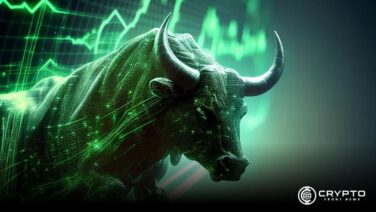 Bullish Market(Bullish Trading) CFN