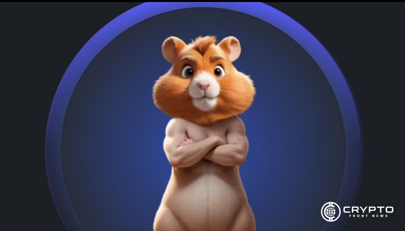 Hamster Kombat CFN