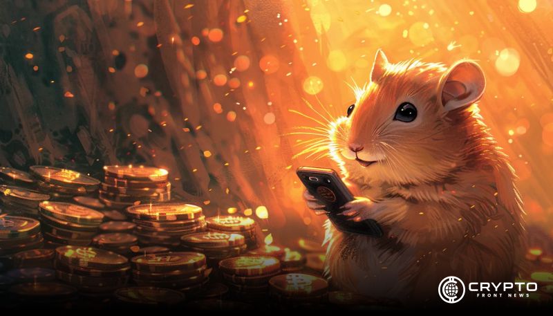 Hamster Kombat CFN