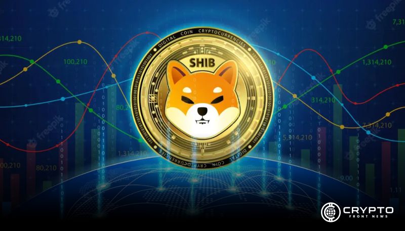 Shiba Inu CFN