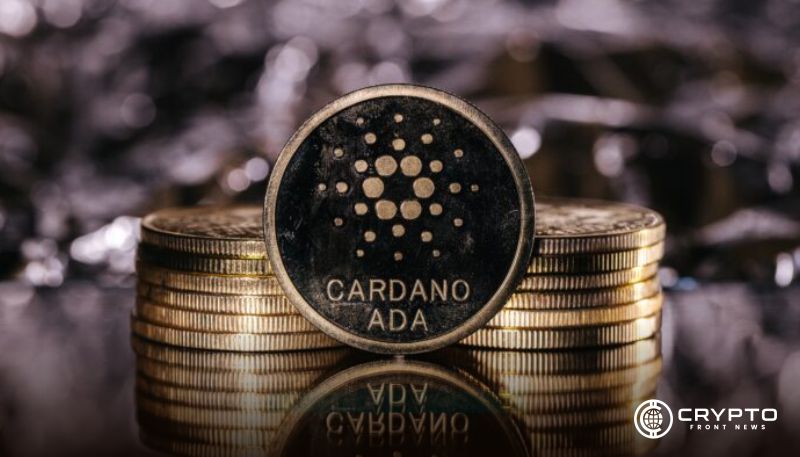 Cardano CFN