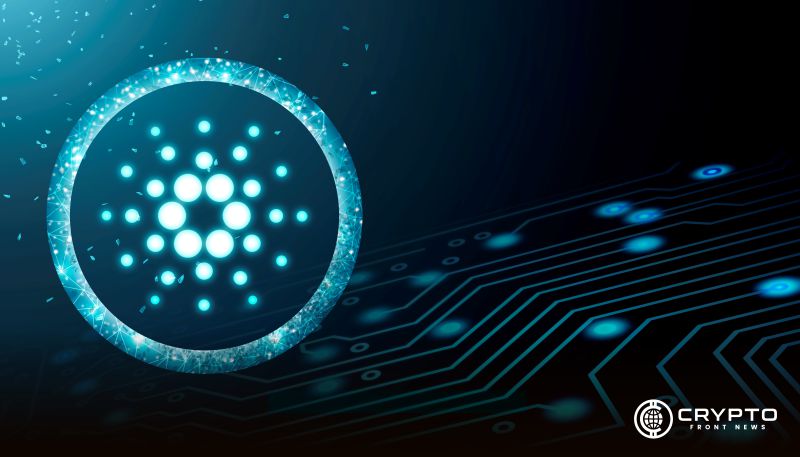 Cardano Whales Accumulate 20 Million ADA Amid Governance Progress  