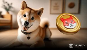 Shiba Inu CFN