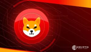 Shiba Inu Team Highlights Scam Risks Amid Shibarium Network Growth 