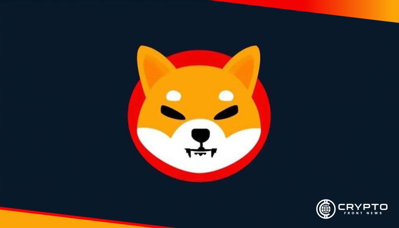 Shiba Inu CFN