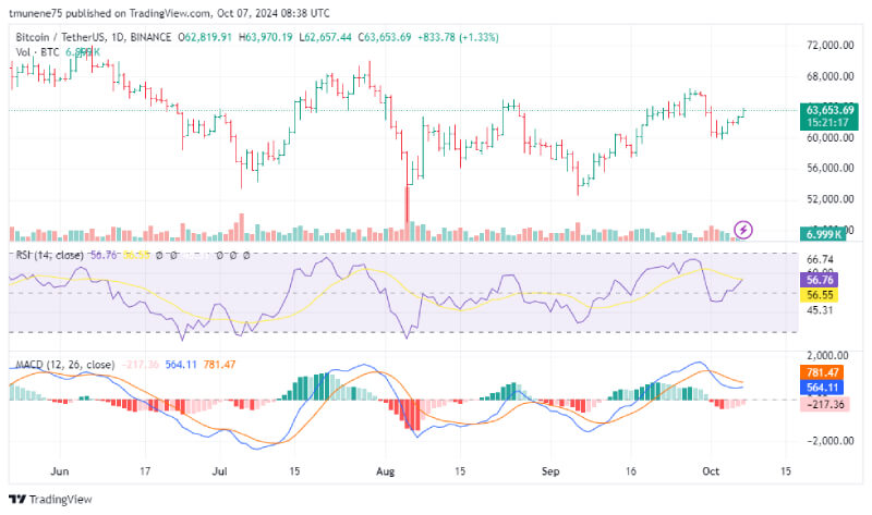 Bitcoin Ready for Parabolic Surge as Critical Resistance Levels Near, Analyst Predicts Massive Gains