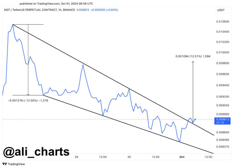 Notcoin Shows Signs of Reversal Amid Wedge Breakout, Analyst Suggests 12.50% Upswing