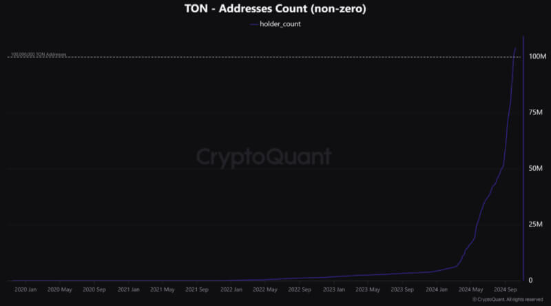 TON Blockchain Sees Massive Growth as User Base Surges to 100 Million Addresses in 2024