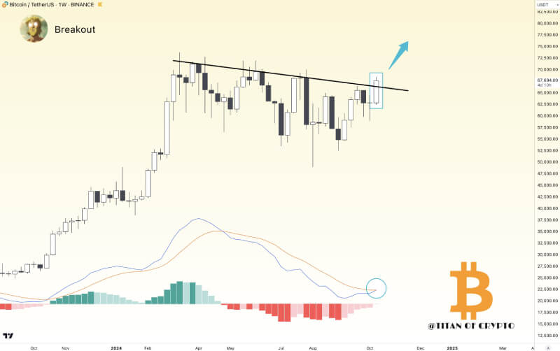 Bitcoin Breaks 7-Month Resistance as Bullish Momentum Signals Rally Toward $70,000 and Beyond