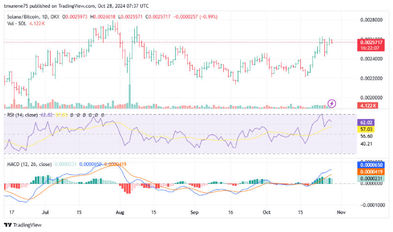 Analyst Projects Solana Breakout as Elliott Wave Signals Final Bullish Push 