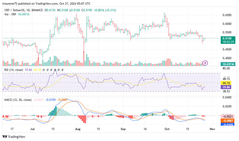 XRP Momentum Builds as Analyst Forecasts Potential Rally Toward New All-Time Highs