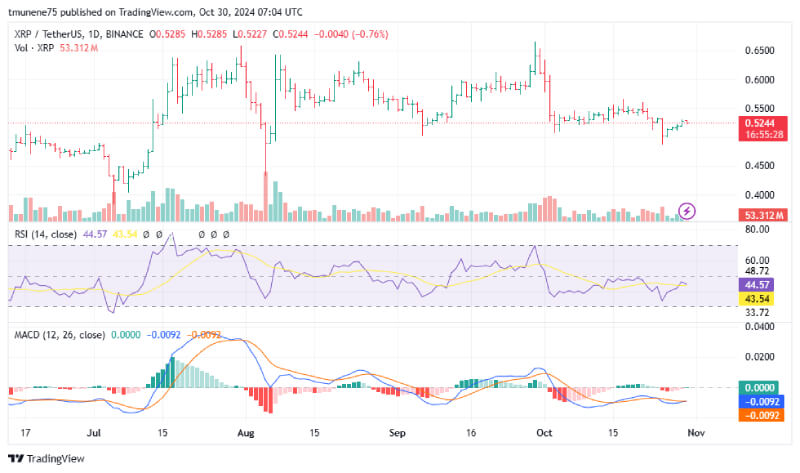 XRP Approaches Major Breakout Point as Bullish Patterns Mirror Historic Price Rally Potential