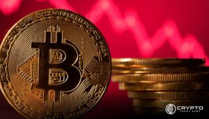 Bitcoin Breaks Out at $83.6K: Key Support and Resistance Levels to Watch