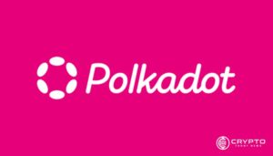 Polkadot Races 142% Higher—Is It Sprinting Toward $20 or Just Warming Up?