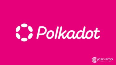 Polkadot CFN