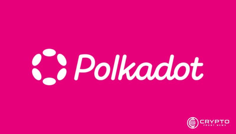 Polkadot CFN