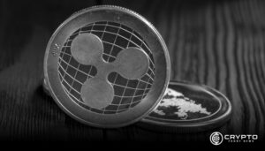 Ripple’s 3.5 M RL/USD Transfer Hints at Stablecoin Launch 