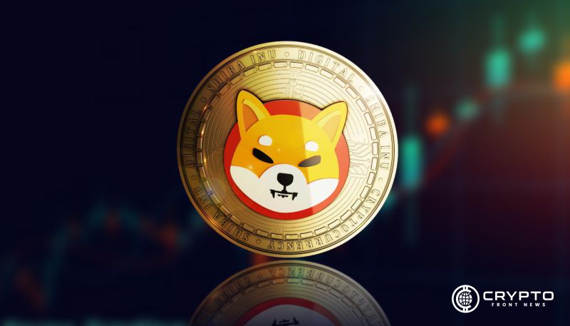 Shiba Inu CFN