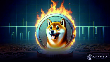 Shiba Inu CFN