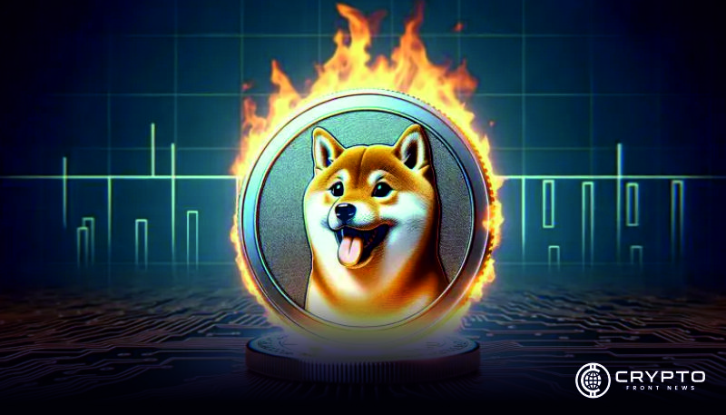 Shiba Inu CFN