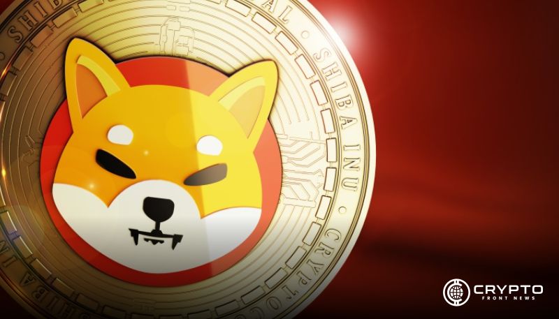Shiba Inu CFN