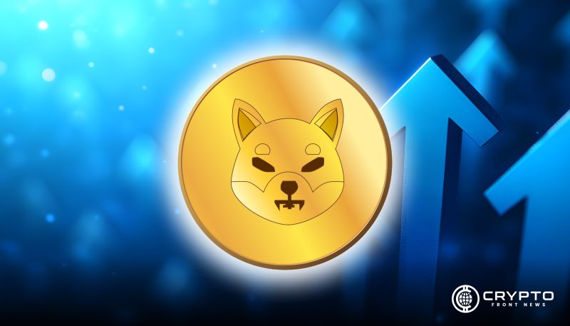 Shiba Inu CFN