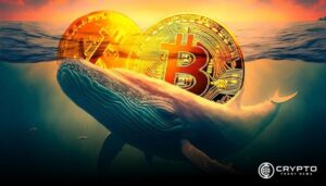 Whales and Mid-Sized Investors Offload Bitcoin, Is a Market Shift Coming?