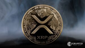 XRP Market Dominance To Rocket: Is the Market Cap About To Go Crazy? 