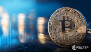 McGlone Highlights Bitcoin’s Role in Shaping Risk Asset Trends  