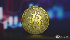 Bitcoin Faces Potential Shakeout Before Next Rally, Warns Peter Brandt  