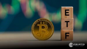 Bitcoin ETFs See $103M Net Inflows as Major Players Report Positive Market Movements